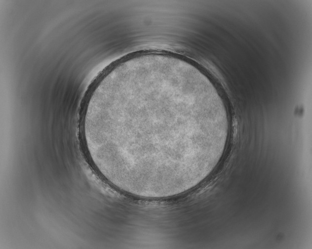 X0000112381020200909101341