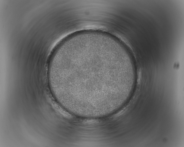 X0000112381021200909101341