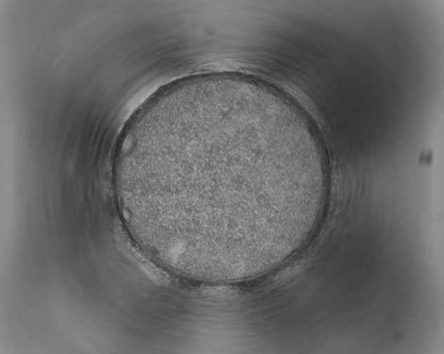 X0000112381023200909101341