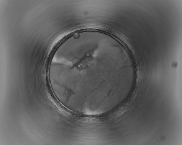 X0000112381024200909101341