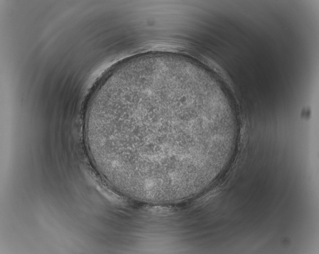 X0000112381027200909101341