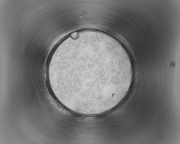 X0000112381028200909101341