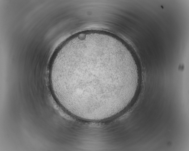 X0000112381029200909101341