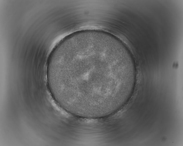 X0000112381030200909101341