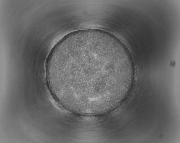 X0000112381031200909101341