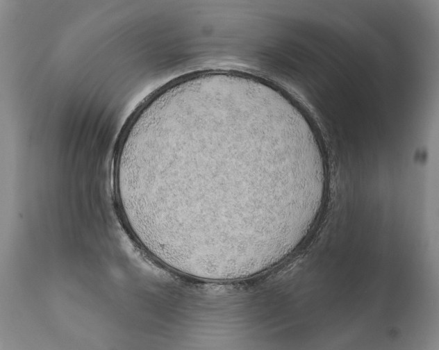 X0000112381032200909101341