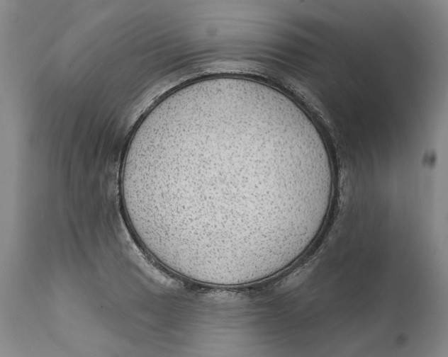 X0000112381033200909101341