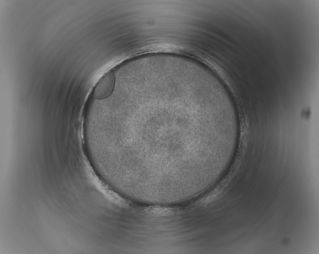 X0000112381034200909101341