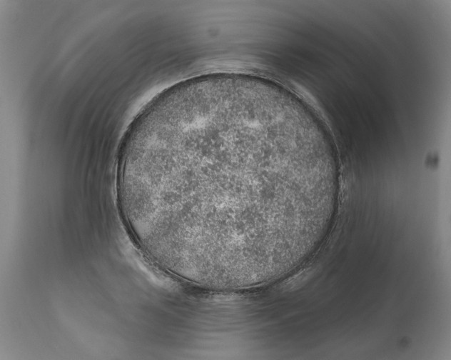 X0000112381035200909101341