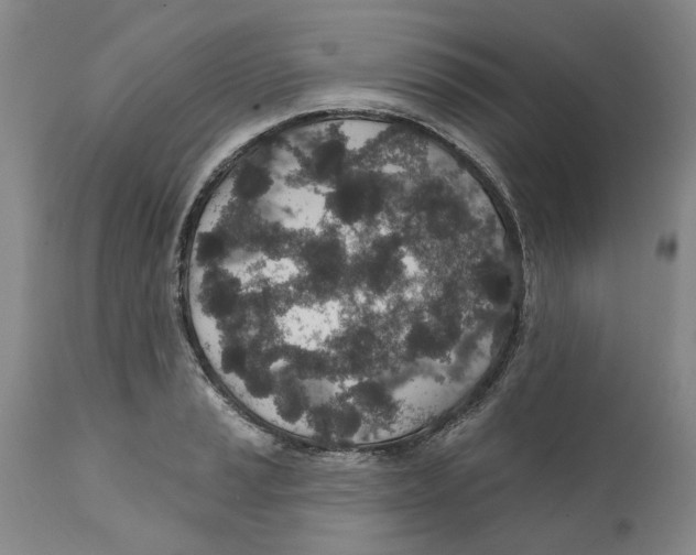 X0000112381037200909101341