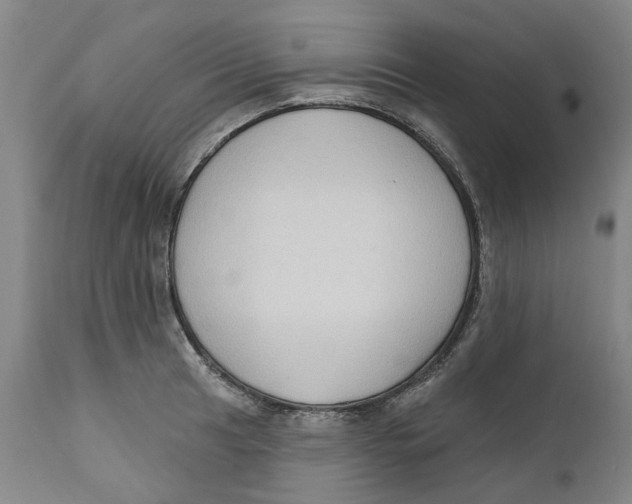 X0000112381041200909101341