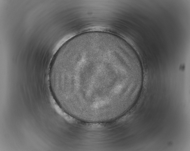 X0000112381042200909101341