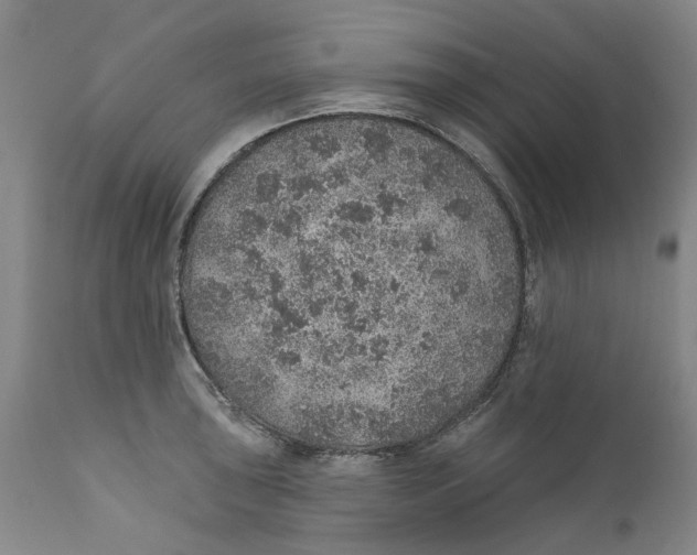 X0000112381043200909101341