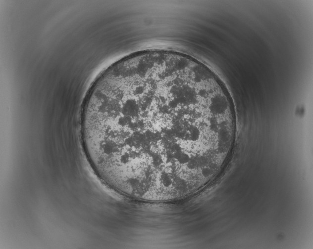 X0000112381045200909101341