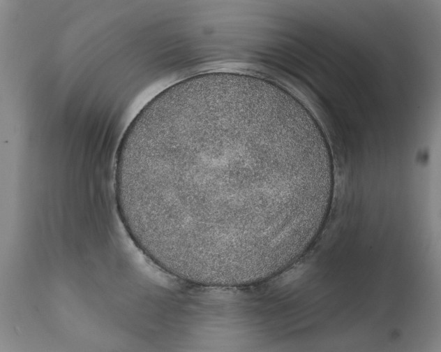 X0000112381050200909101341