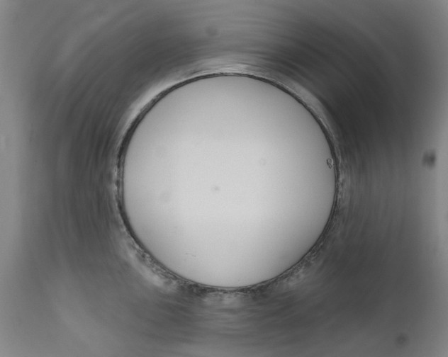 X0000112381051200909101341