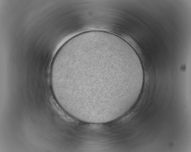 X0000112381052200909101341