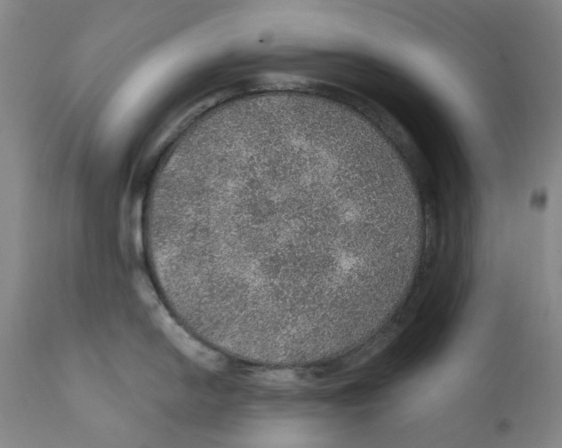 X0000112381054200909101341