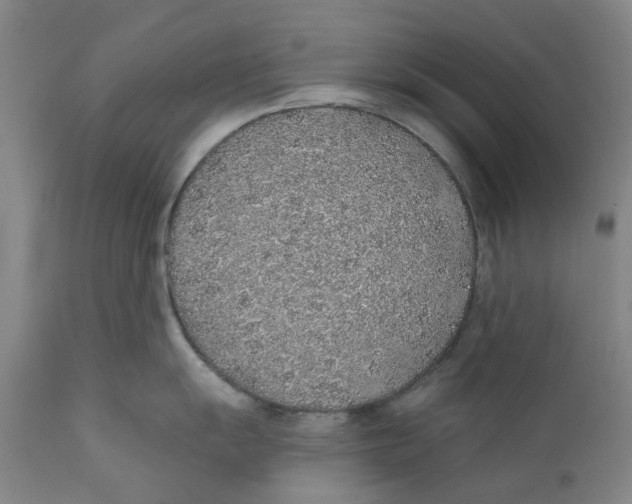 X0000112381055200909101341