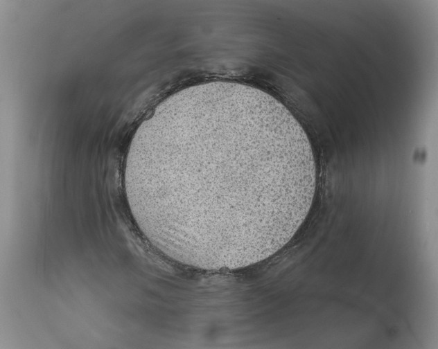 X0000112381058200909101341