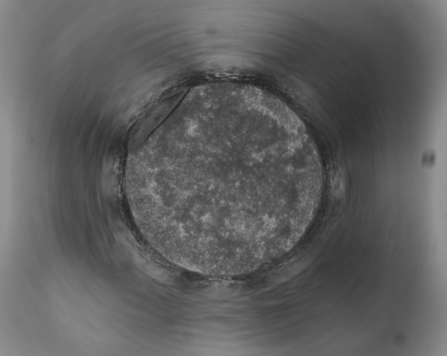 X0000112381060200909101341