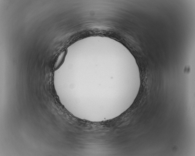 X0000112381061200909101341