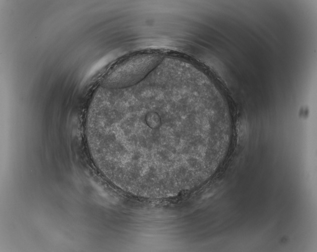 X0000112381064200909101340