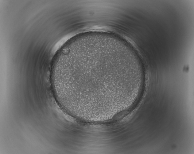 X0000112381066200909101340