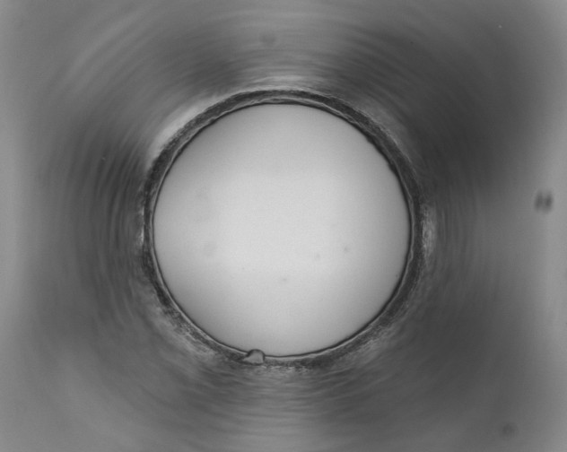 X0000112381069200909101340