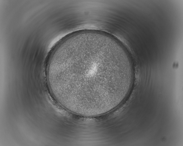 X0000112381070200909101340