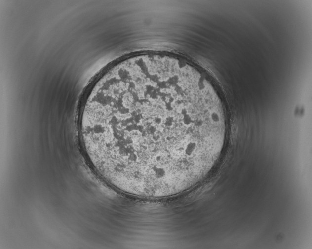 X0000112381071200909101340