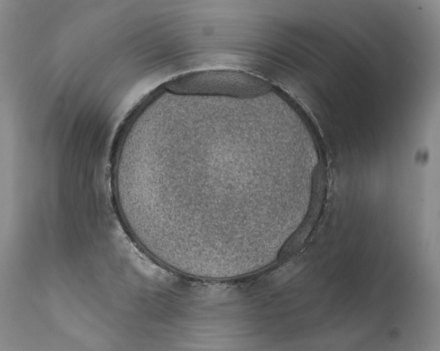 X0000112381072200909101340