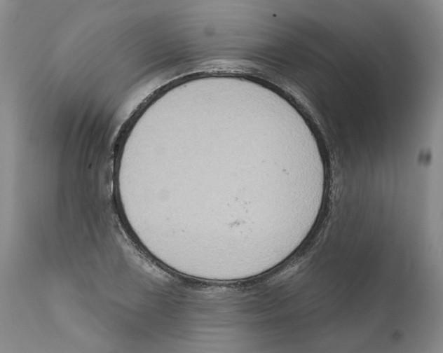 X0000112381075200909101340