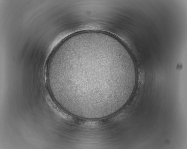 X0000112381078200909101340