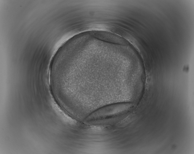 X0000112381080200909101340