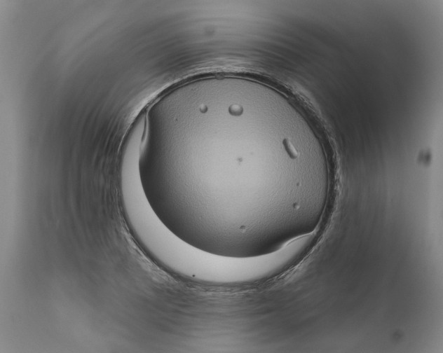 X0000112381081200909101340