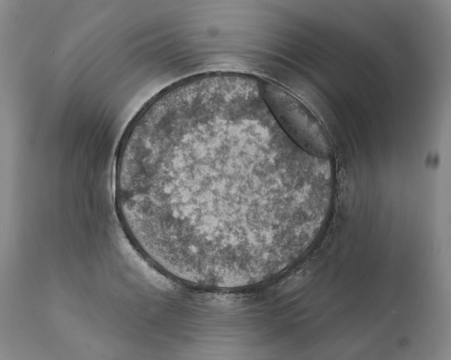 X0000112381084200909101340