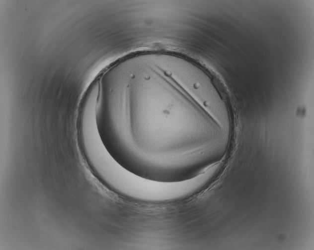 X0000112381085200909101340