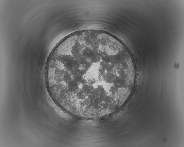 X0000112381086200909101340