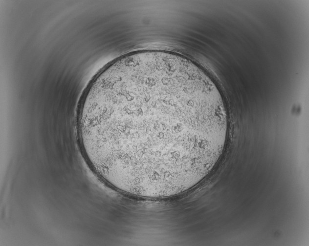 X0000112381087200909101340