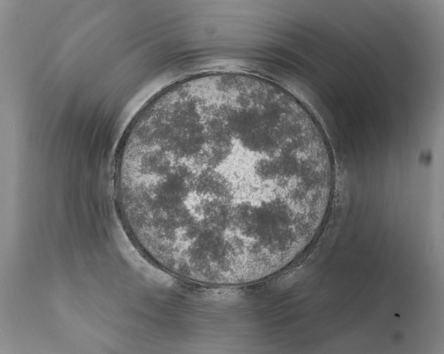 X0000112381090200909101340