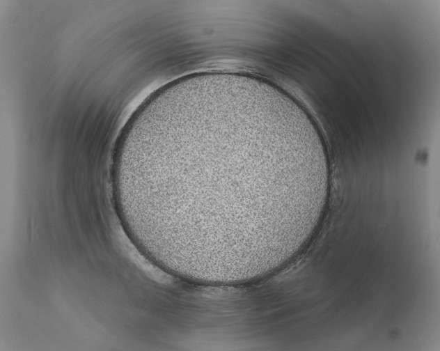 X0000112381091200909101340