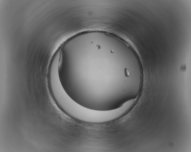 X0000112381093200909101340