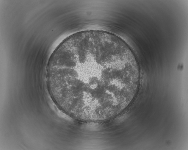 X0000112381094200909101340