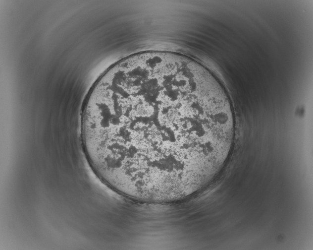 X0000112381095200909101340