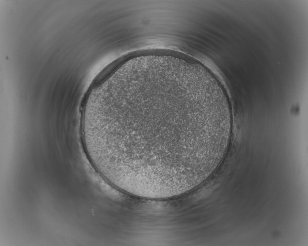 X0000112381096200909101340