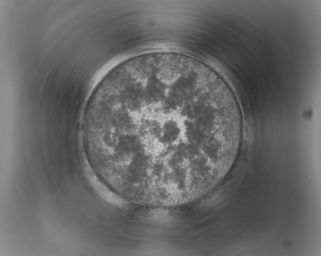 X0000112381098200909101340