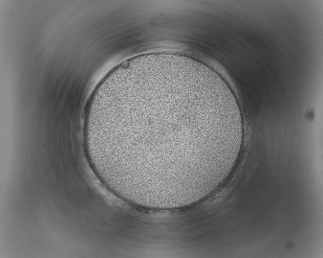 X0000112381099200909101340