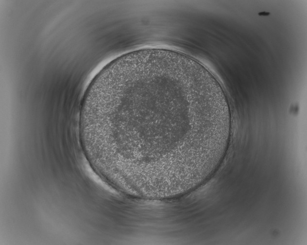 X0000112381100200909101340