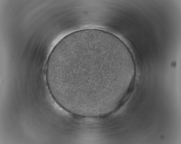 X0000112381102200909101340